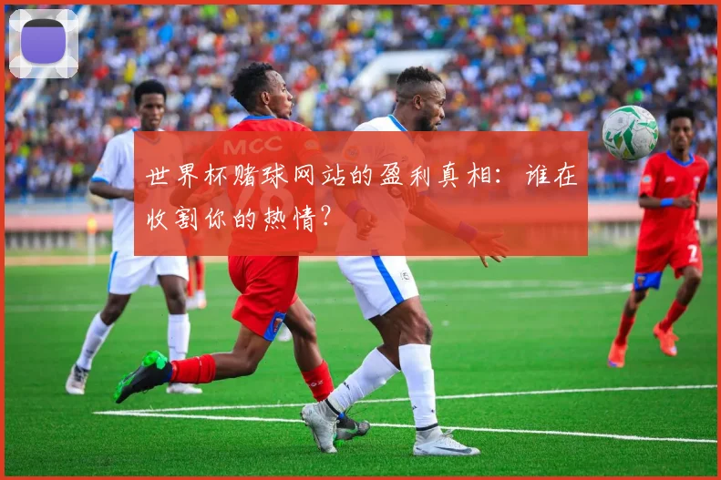 世界杯赌球网站的盈利真相：谁在收割你的热情？