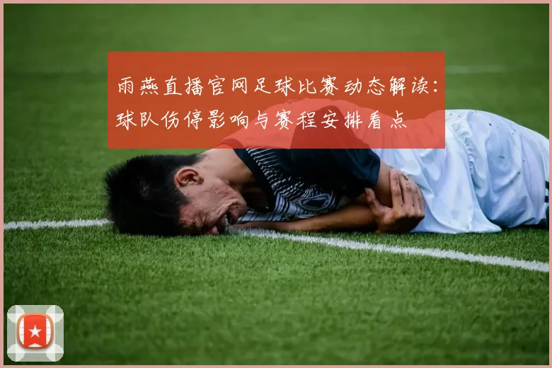 雨燕直播官网足球比赛动态解读：球队伤停影响与赛程安排看点