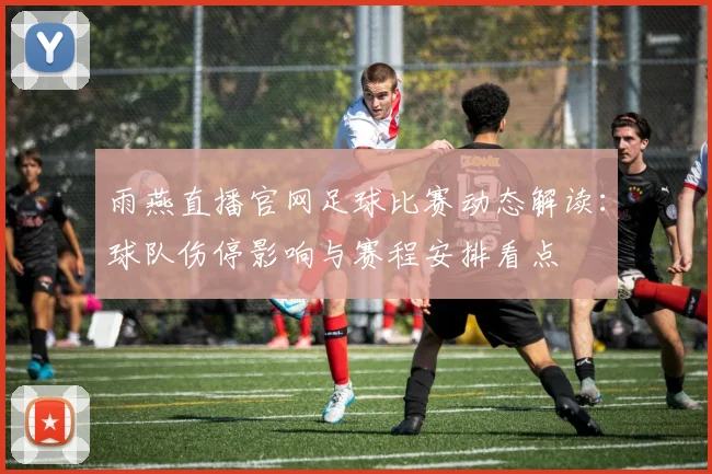 雨燕直播官网足球比赛动态解读：球队伤停影响与赛程安排看点