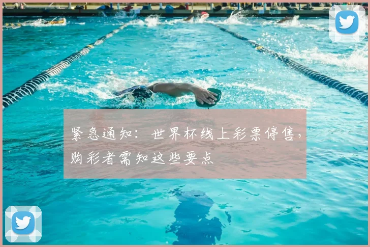 紧急通知：世界杯线上彩票停售，购彩者需知这些要点