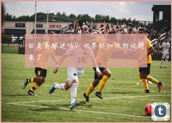 你是真球迷吗？世界杯知识测试题来了