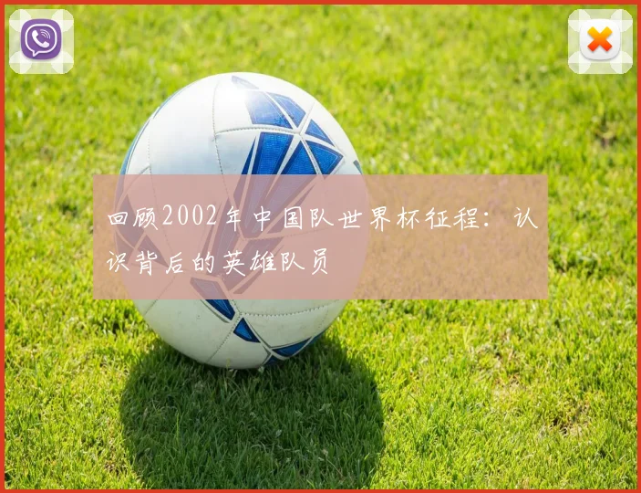 回顾2002年中国队世界杯征程:认识背后的英雄队员