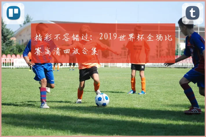 精彩不容错过：2019世界杯全场比赛高清回放合集