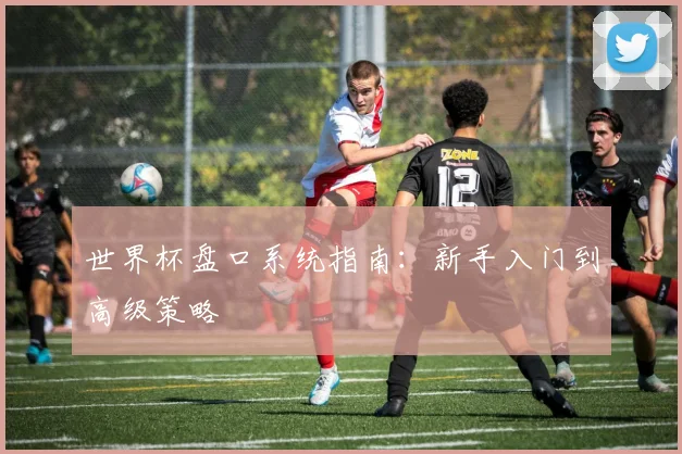 世界杯盘口系统指南：新手入门到高级策略