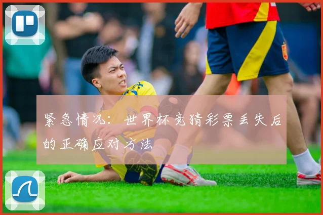 紧急情况：世界杯竞猜彩票丢失后的正确应对方法