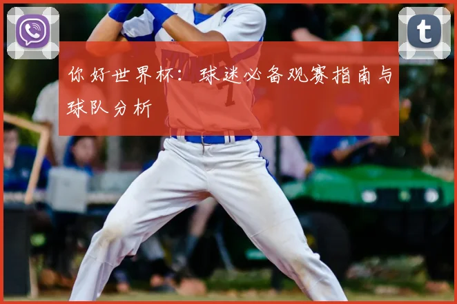 你好世界杯：球迷必备观赛指南与球队分析