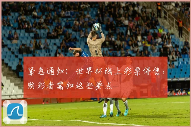 紧急通知：世界杯线上彩票停售，购彩者需知这些要点